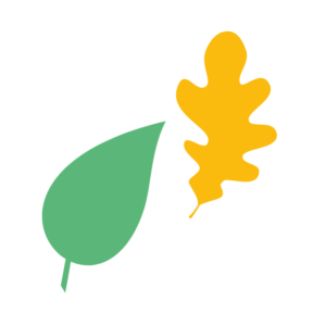 Feuilles mortes