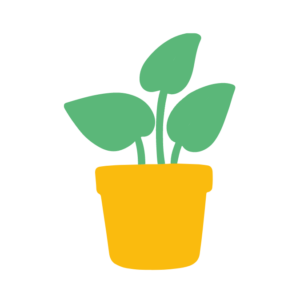 Plante dans un pot