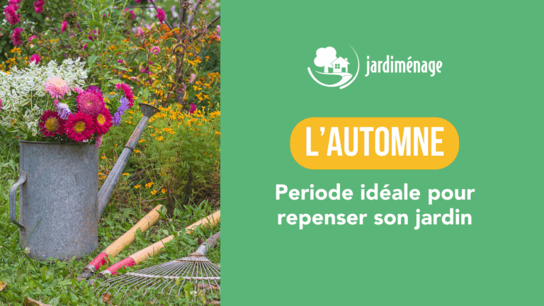 Lire la suite à propos de l’article Pourquoi l’automne est-elle la meilleure saison pour repenser son jardin ?