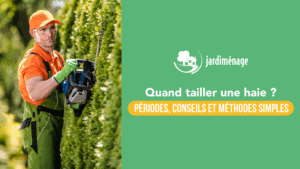 Lire la suite à propos de l’article Quand tailler une haie : périodes, conseils et méthodes simples