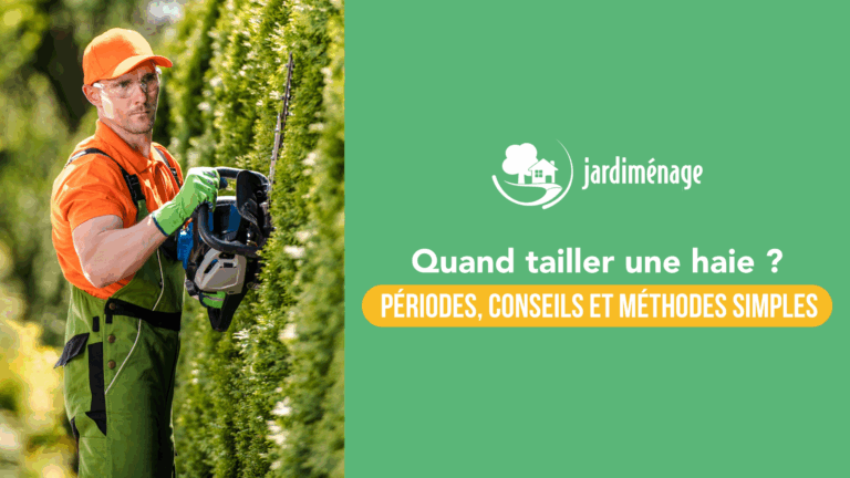 Lire la suite à propos de l’article Quand tailler une haie : périodes, conseils et méthodes simples