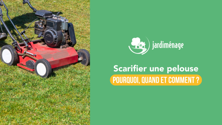 Lire la suite à propos de l’article Scarification de la pelouse : quand, comment et pourquoi la faire correctement