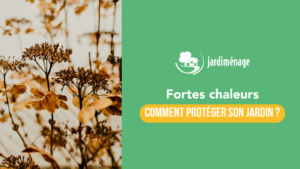 Lire la suite à propos de l’article Canicule, fortes chaleurs : comment protéger son jardin ?